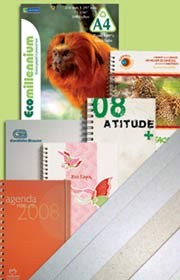 Eco Millenium